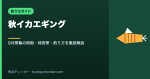 秋イカエギング - 9月開幕の時期・時間帯・釣り方を徹底解説