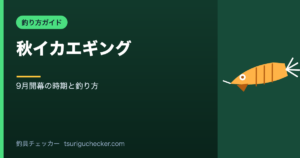 秋イカエギング - 9月開幕の時期と釣り方